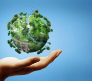 meioambiente