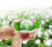 meioambiente22