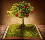 shutterstock_91985648