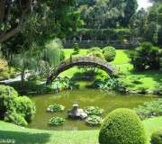 paisagismo-e-jardinagem-verde
