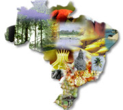Curso de Turismo